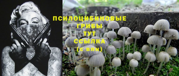 стафф Балабаново