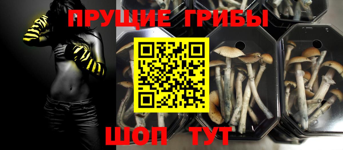 Псилоцибиновые грибы ЛСД Баксан